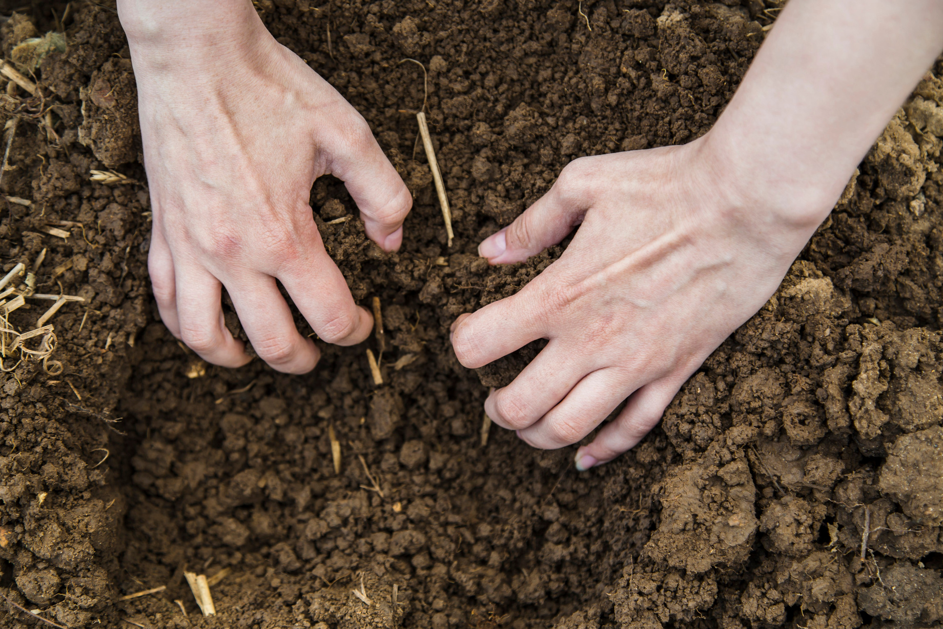 Woman hands digging ground